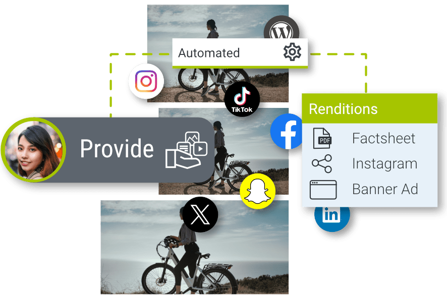 Solution_Header-Image_BrandMgmntMkt_Provide