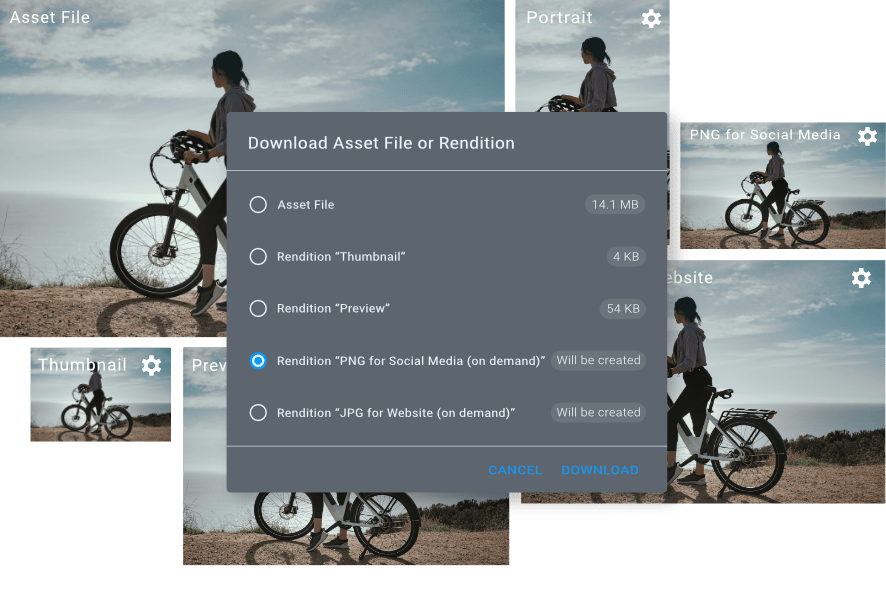 TeaserImage_svnProvide_Renditions
